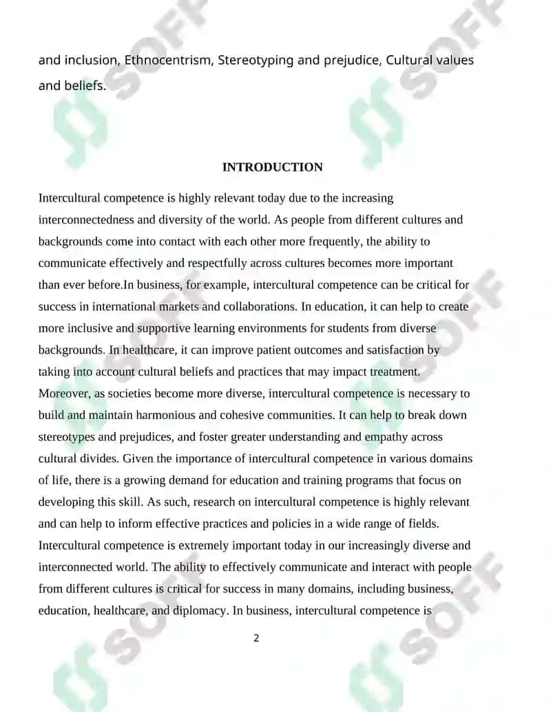 Intercultural Competence 2