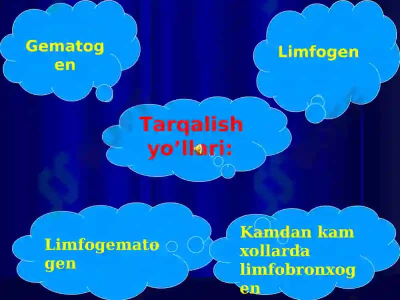 TARQOQ SIL 2