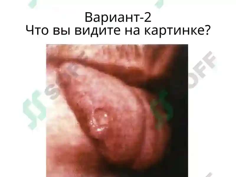 Вариант-1 2