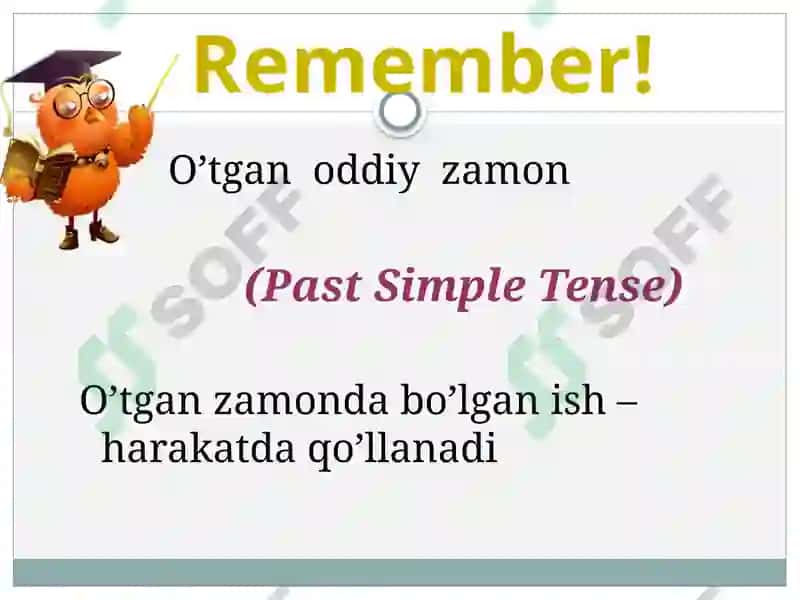 Past Simple Tense 2