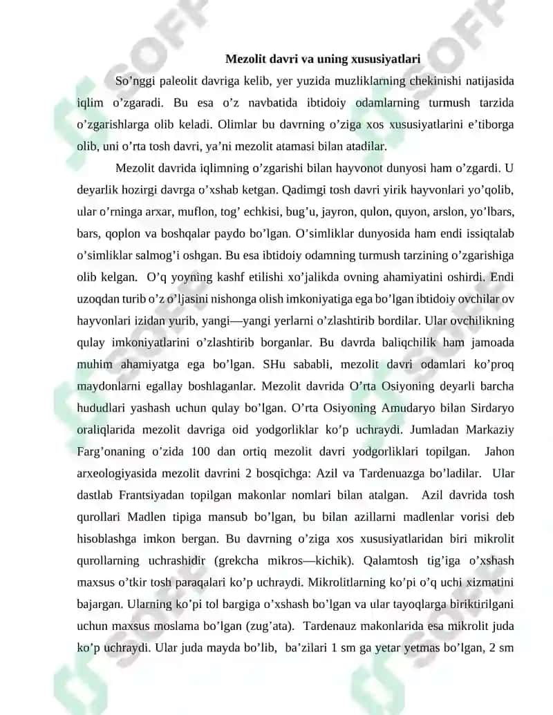 Yevropada mezolit davri 2