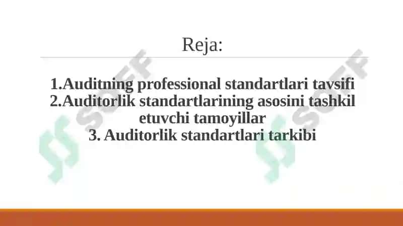 AUDIT STANDARTLARI 2