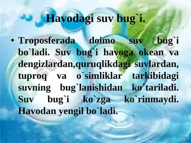 Havodagi suv bug`i 2