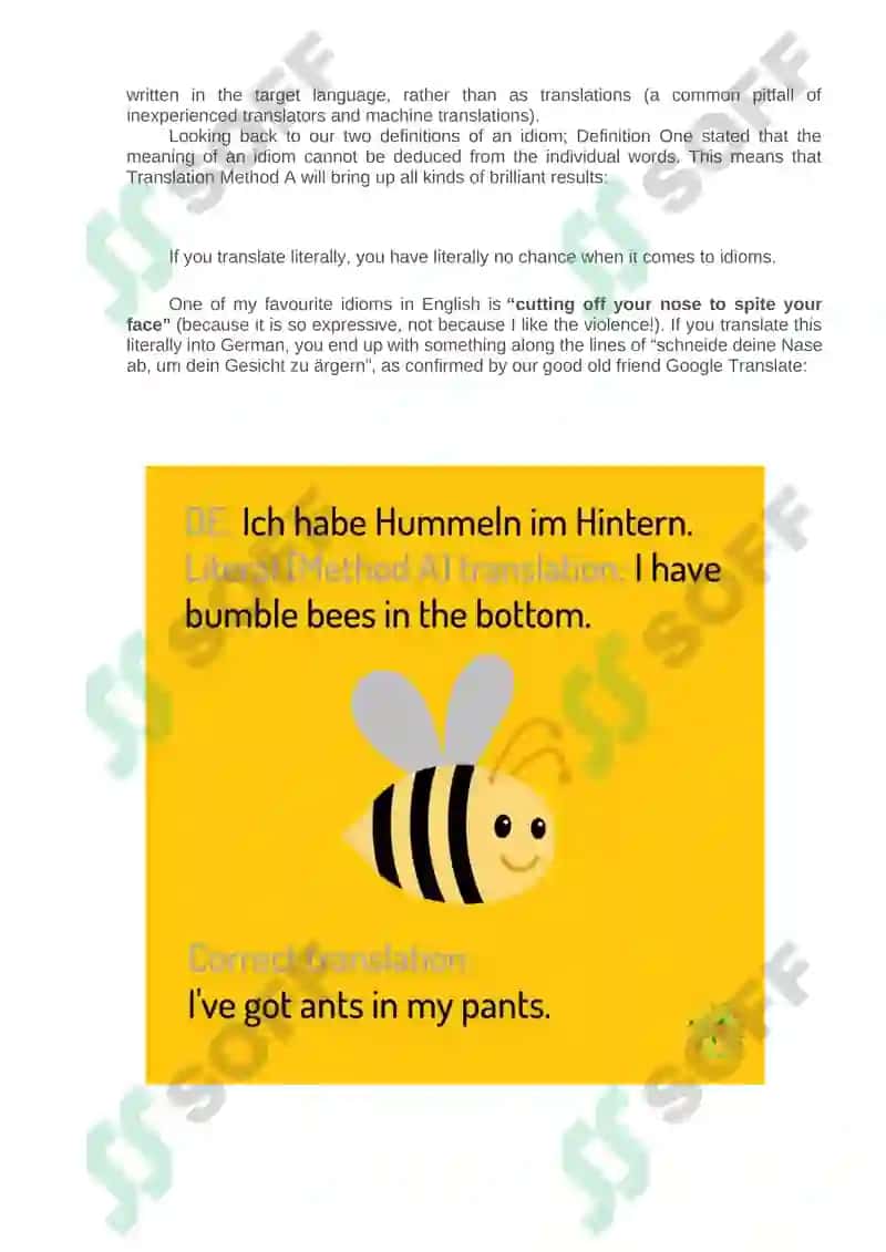 Ultimate Guide to Translating Idioms 2