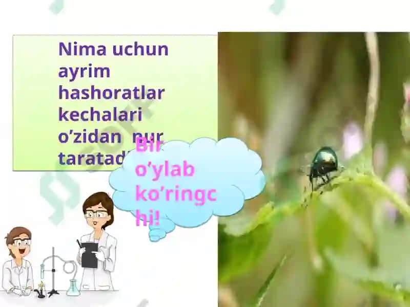 Fosforning xossalari 2