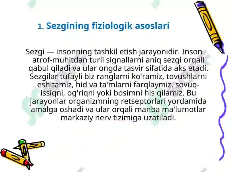 Sezgi 2