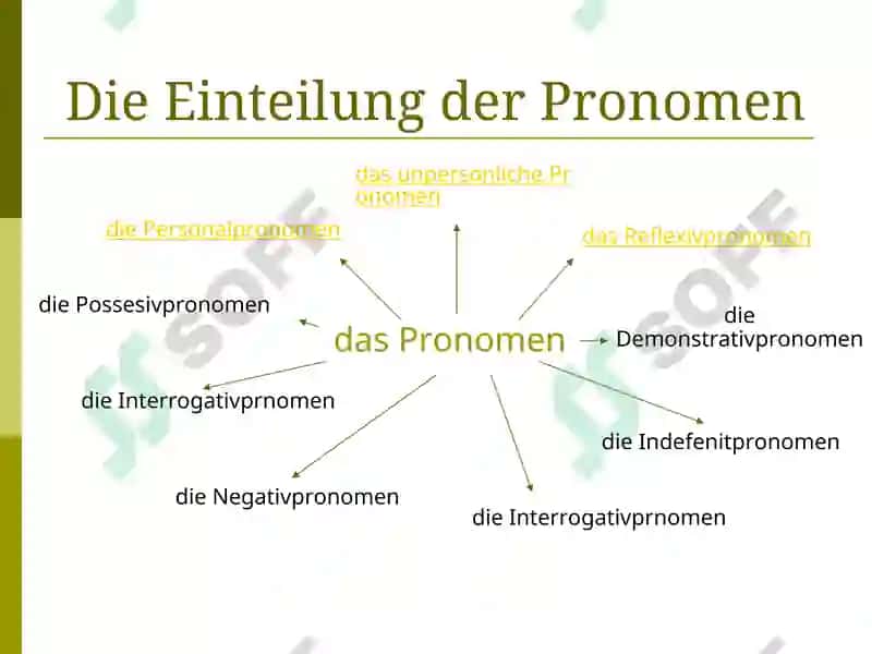 Das Pronomen 2