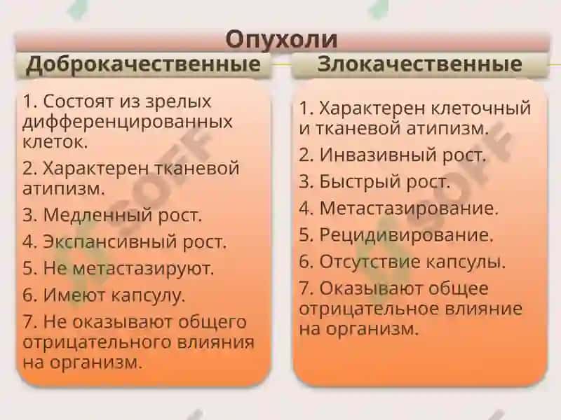 Опухоли 2