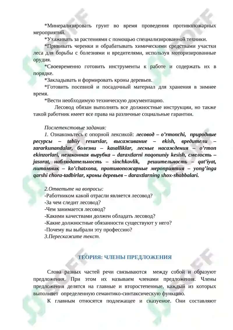 МОЯ ПРОФЕССИЯ ЛЕСОВОД 2