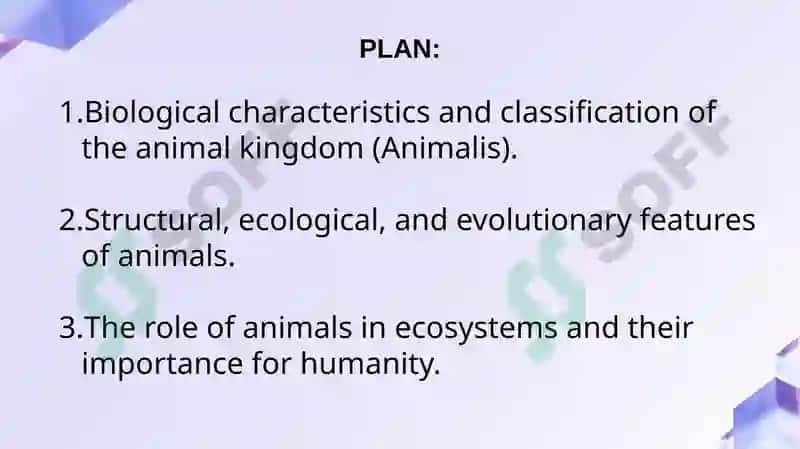 Animalis 2