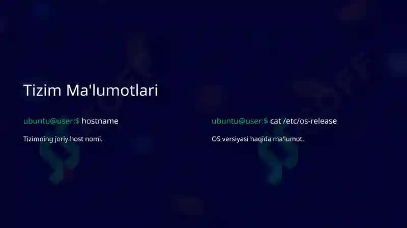 Linux Buyruq Qatori: Asosiy Qo'llanma 2