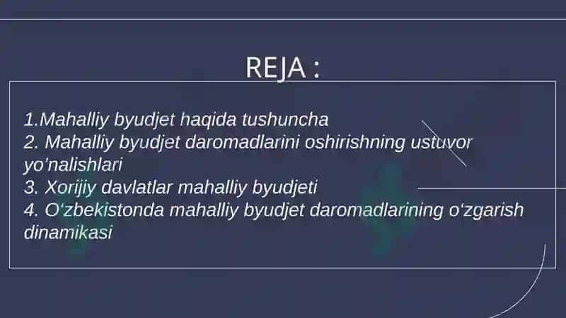 Mahalliy budjetlar mavzusida taqdimot 2