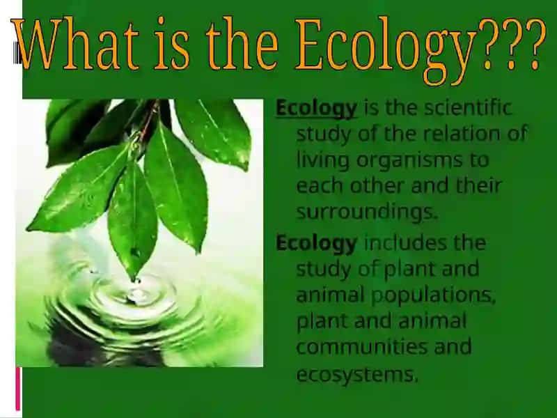 Ecology 2
