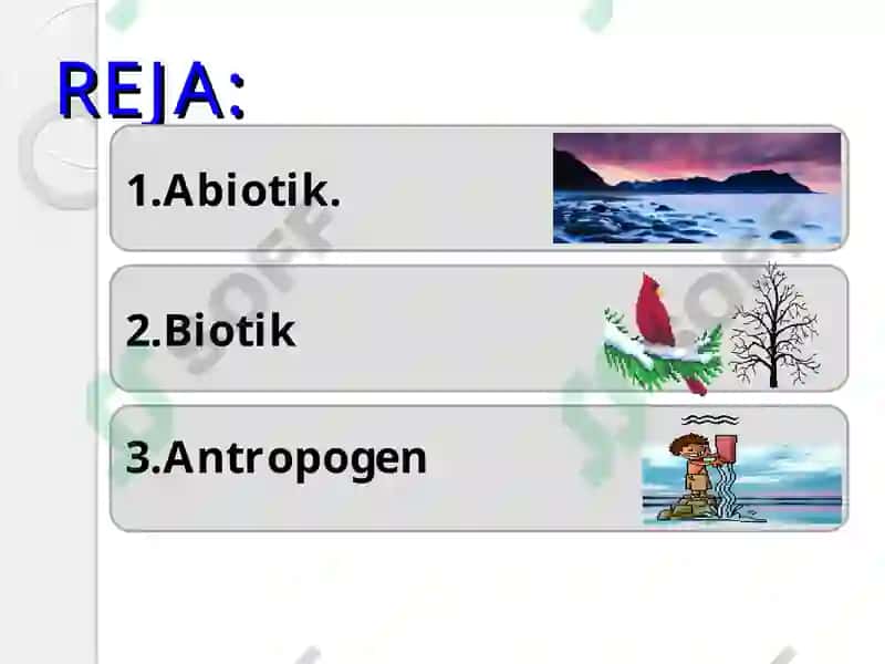 Abiotik, biotik, antropogen omillar 2