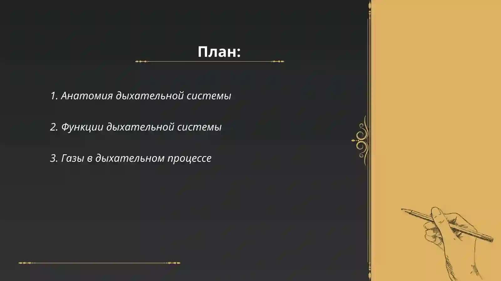 Дыхательная система 2