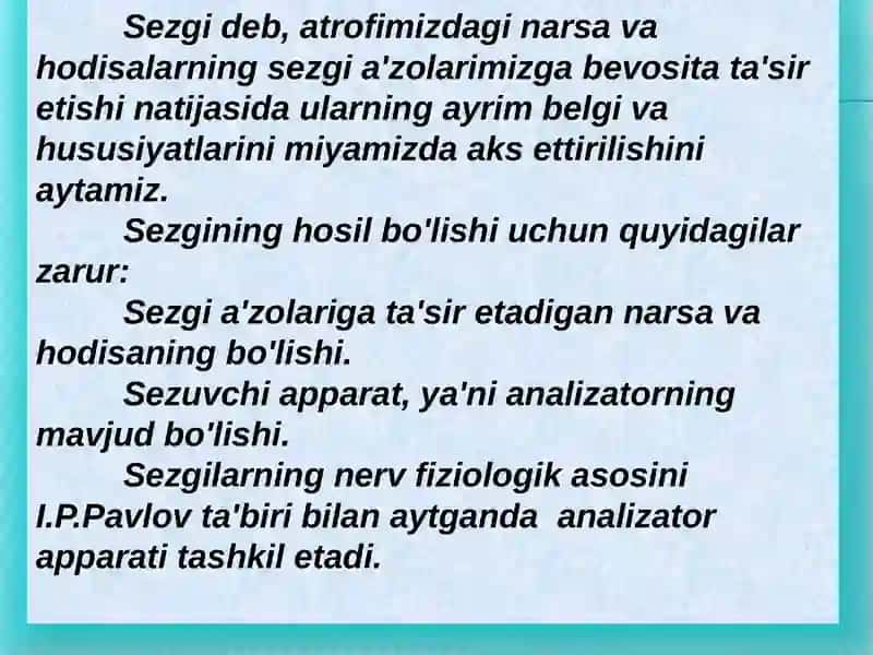 Sezgi 2