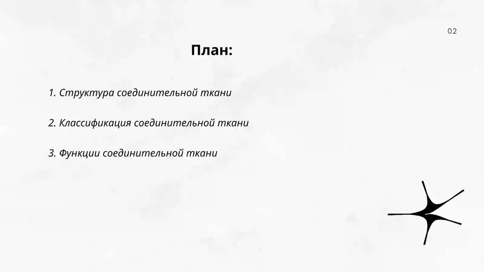 Соединительная ткань 2
