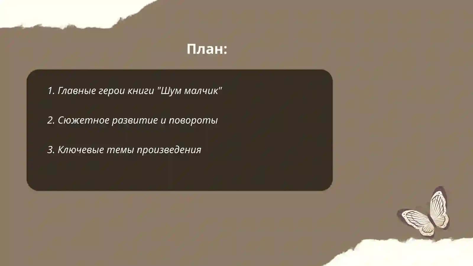 Шум малчик 2