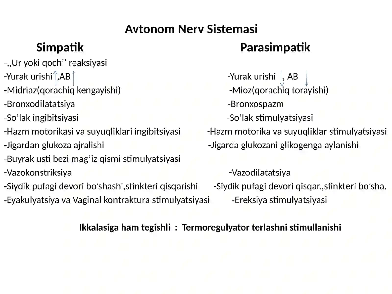 NERV SISTEMASI 2