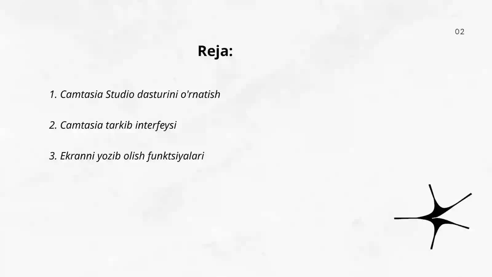 Camtasia Studio dasturi 2