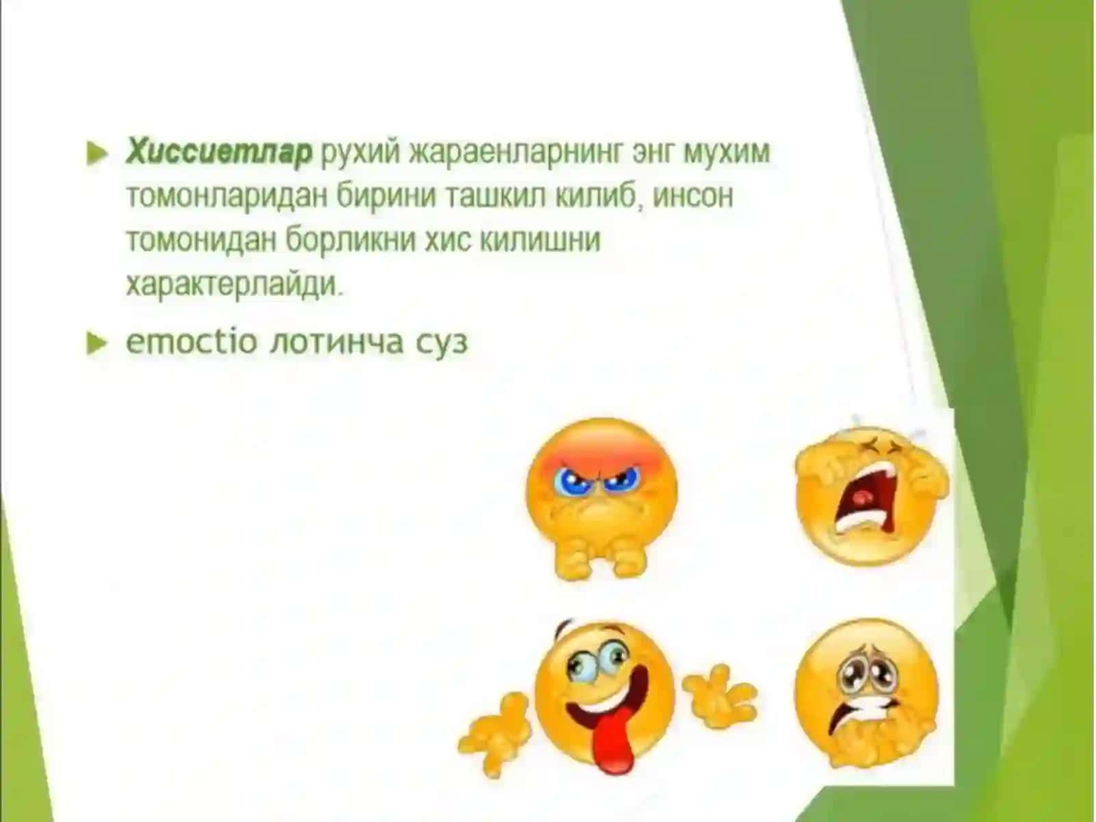 HISSIYOT, IRODA VA MAYL 2