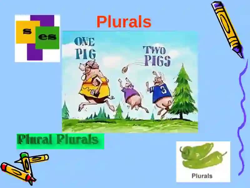 Plurals 2
