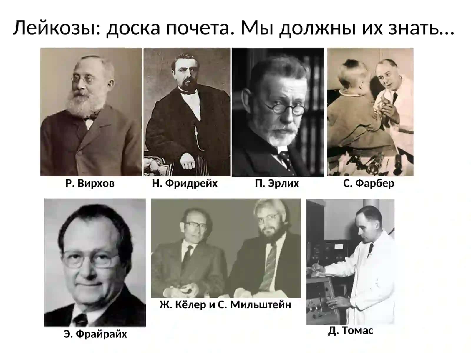 Лейкозы 2