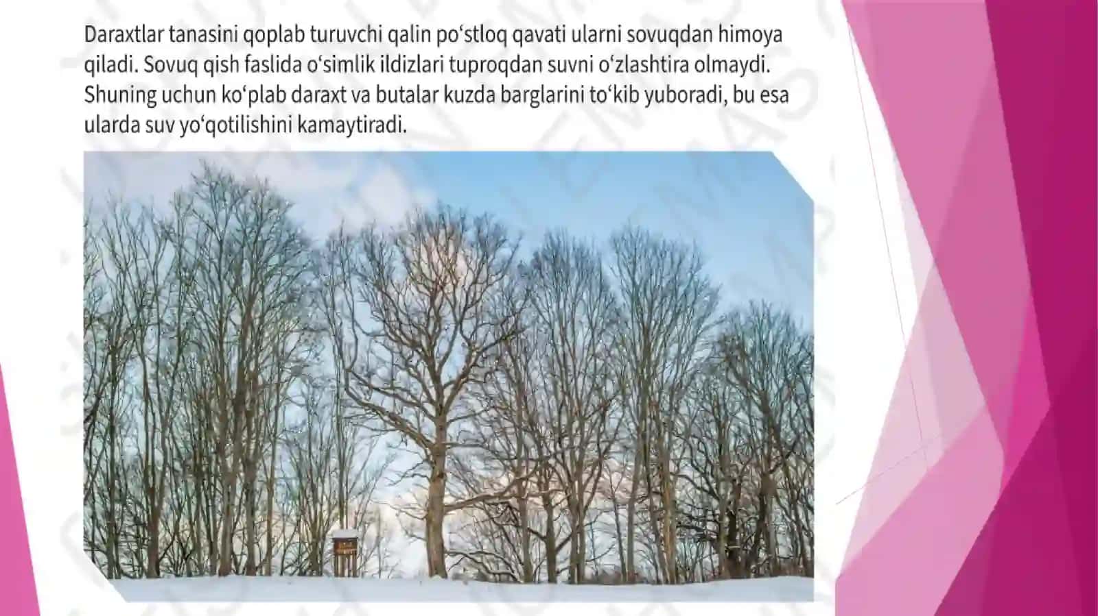 Moslanishlar 2