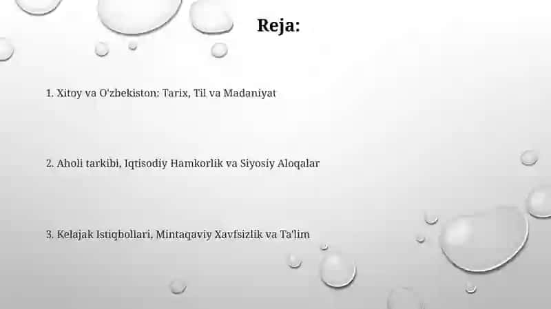 Xitoy va Oʻzbekiston: Tarix, Til va Madaniyat 2