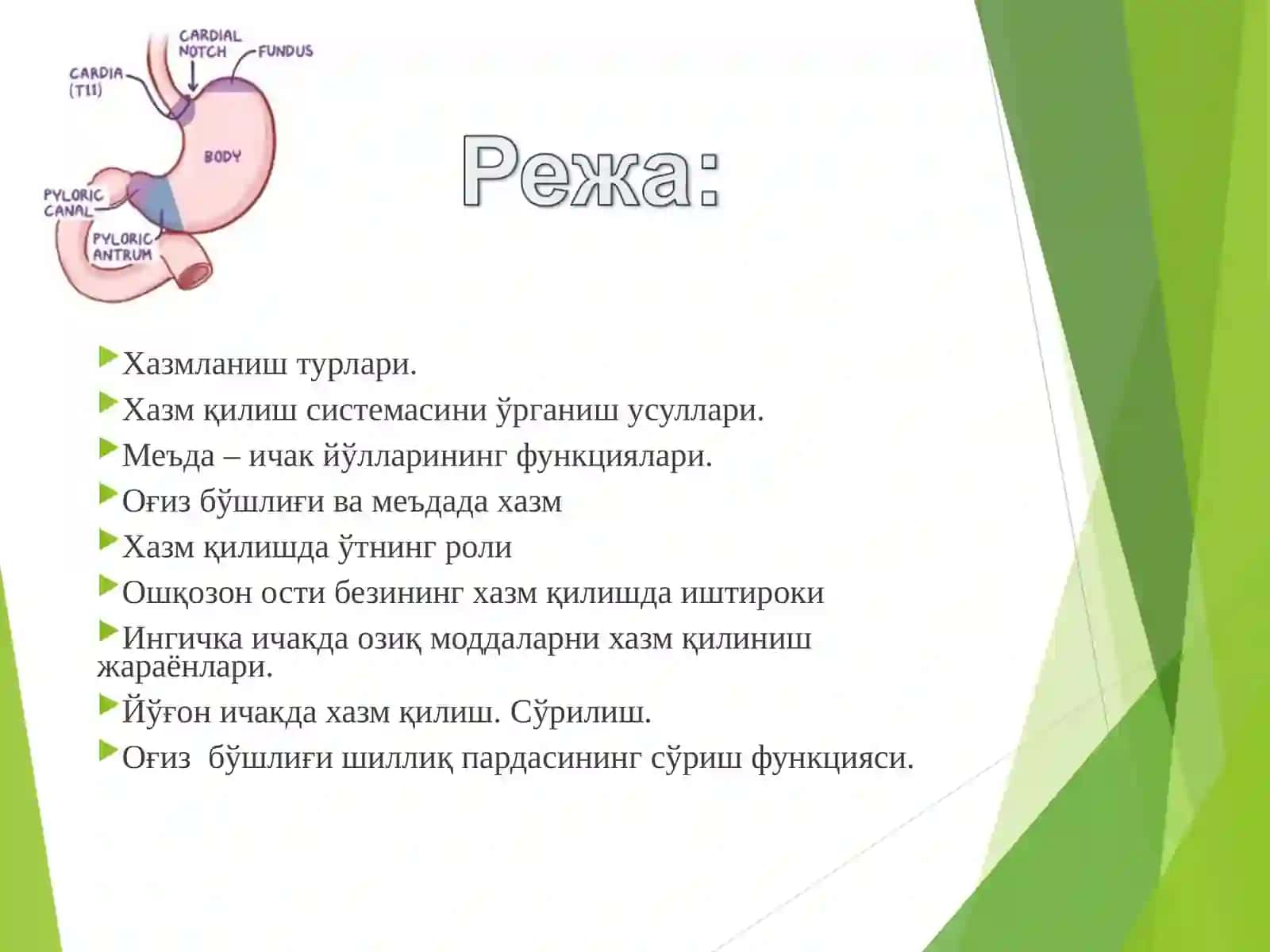 Хазм ва унинг турлари 2