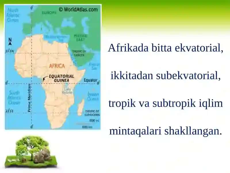 Subekvatorial mintaqalar 2
