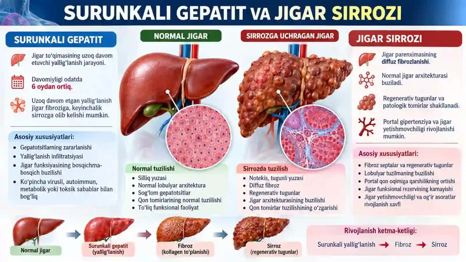 Surunkali gepatit. Jigar serrozi. Professional taqdimot.pptx 2