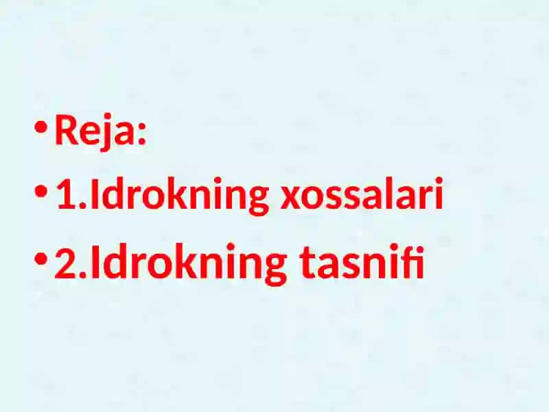 IDROK 2