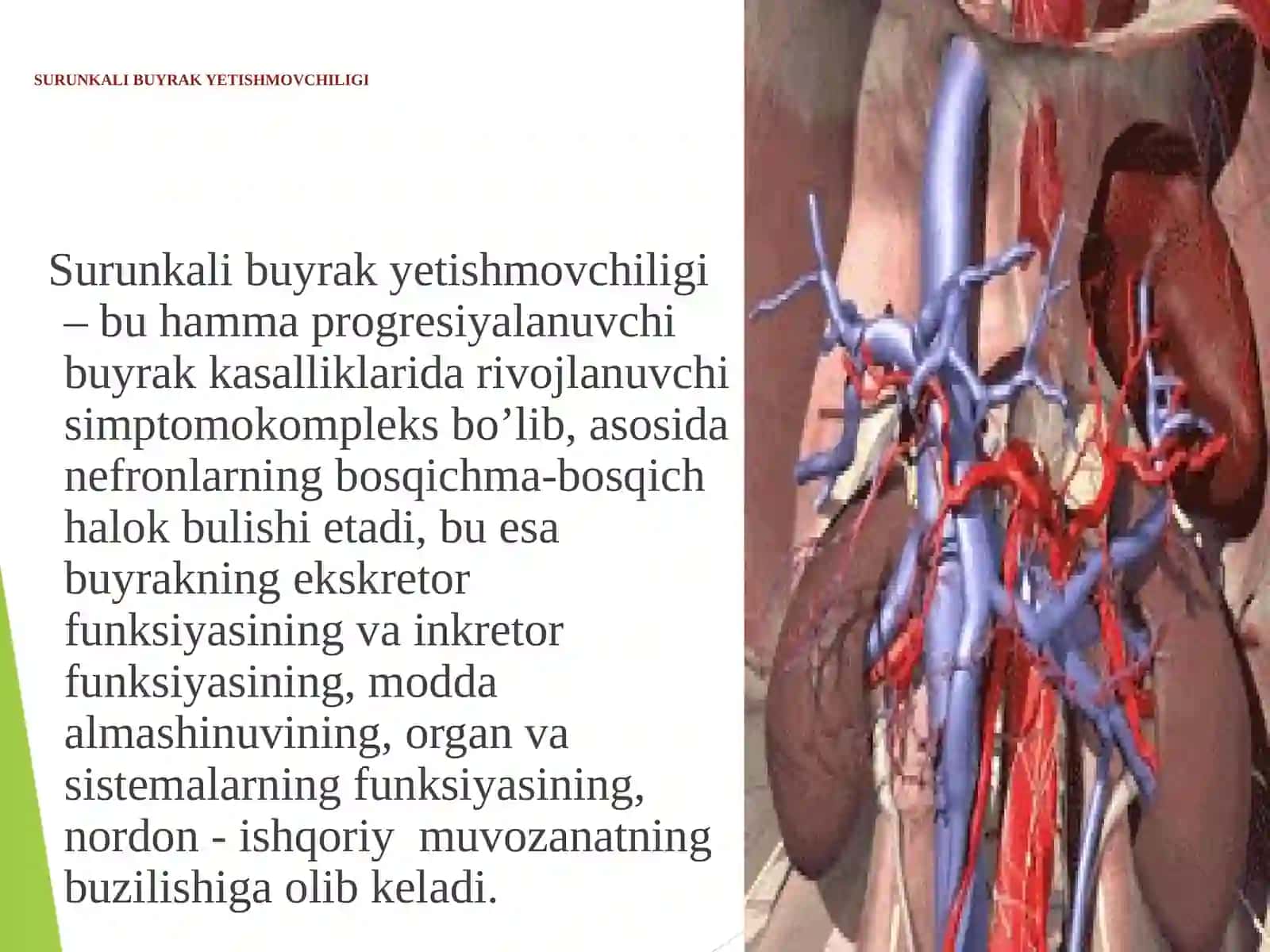 SURUNKALI BUYRAK YETISHMOVCHILIGI 2