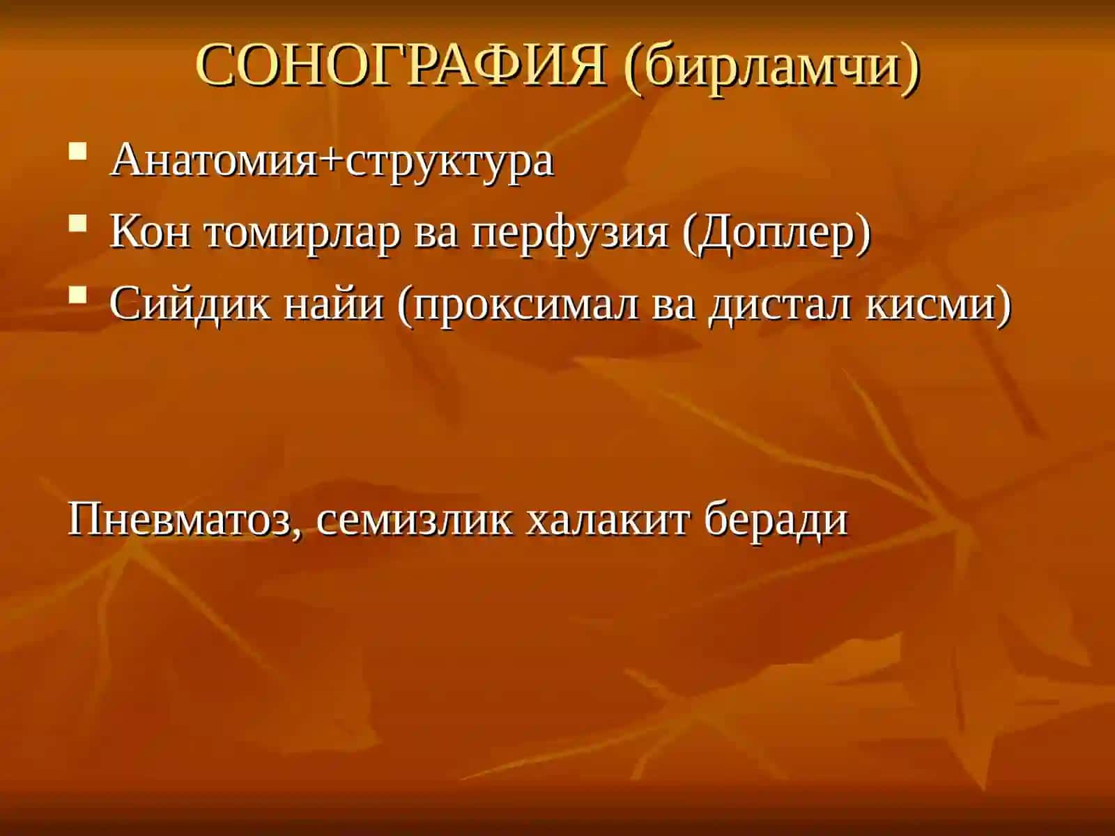 СОНОГРАФИЯ (бирламчи) 2