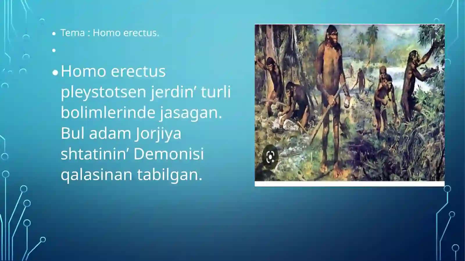Insan evalyutsisinan tayarlagan slayti 2
