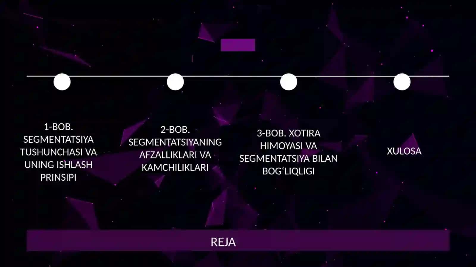 Segmentatsiya va xotira himoyasi 2