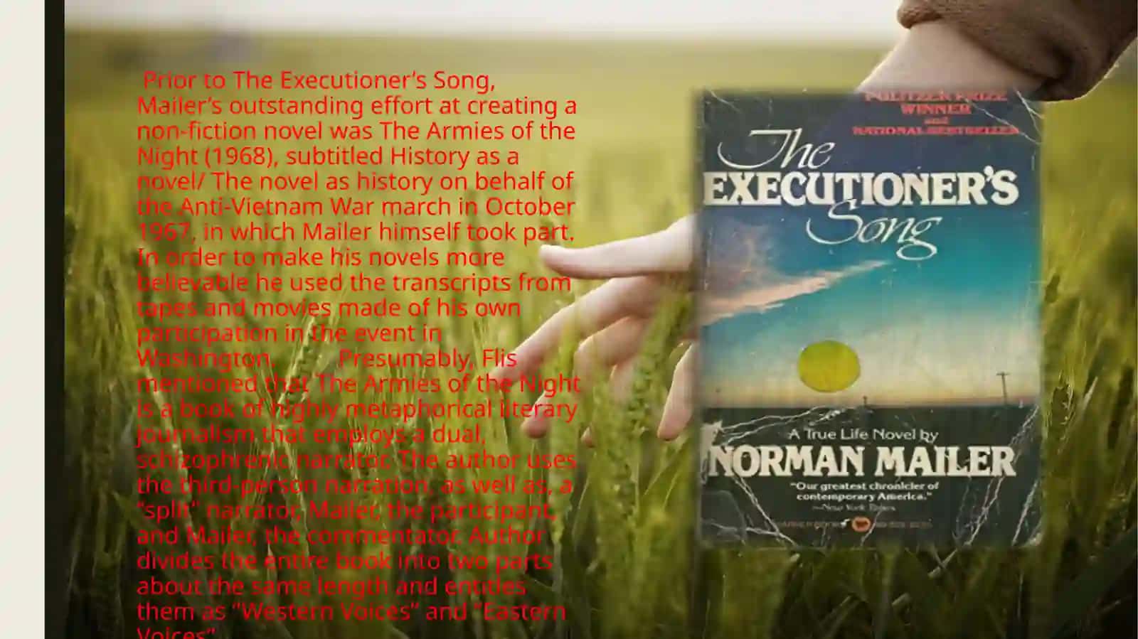 The Executioner’s Song by Norman Mailer 2