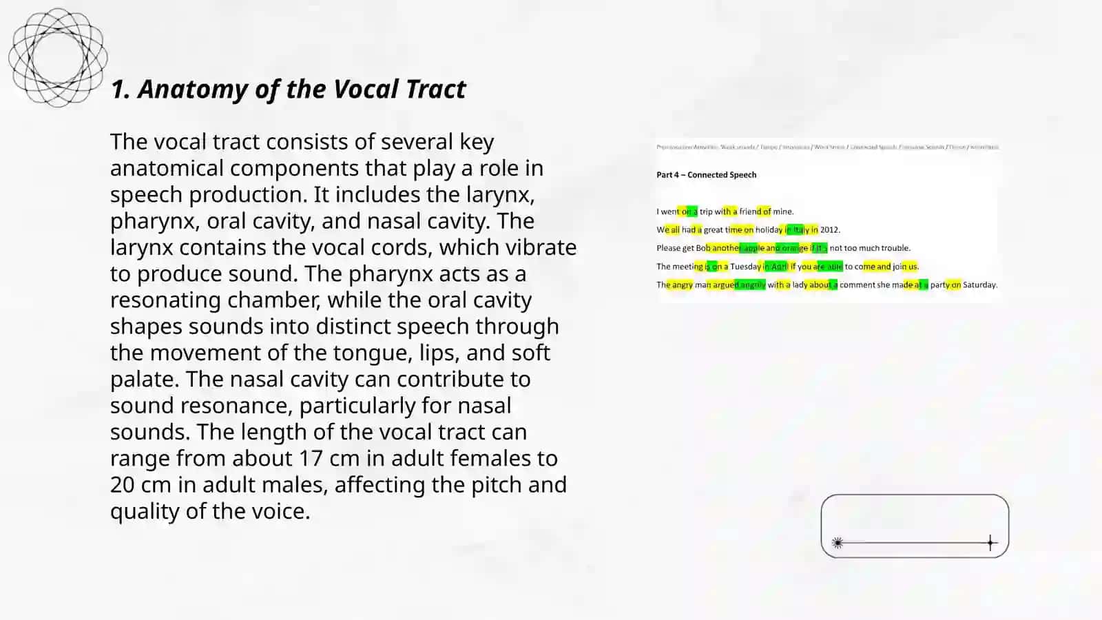 Speech sounds voice production 3