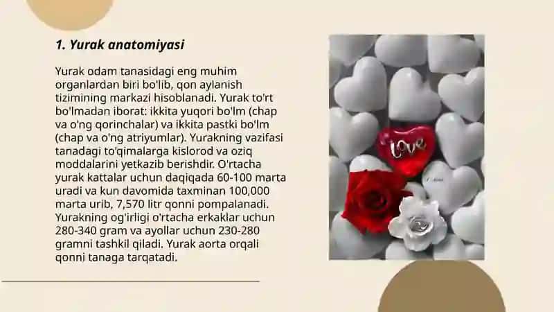 Yurak 3