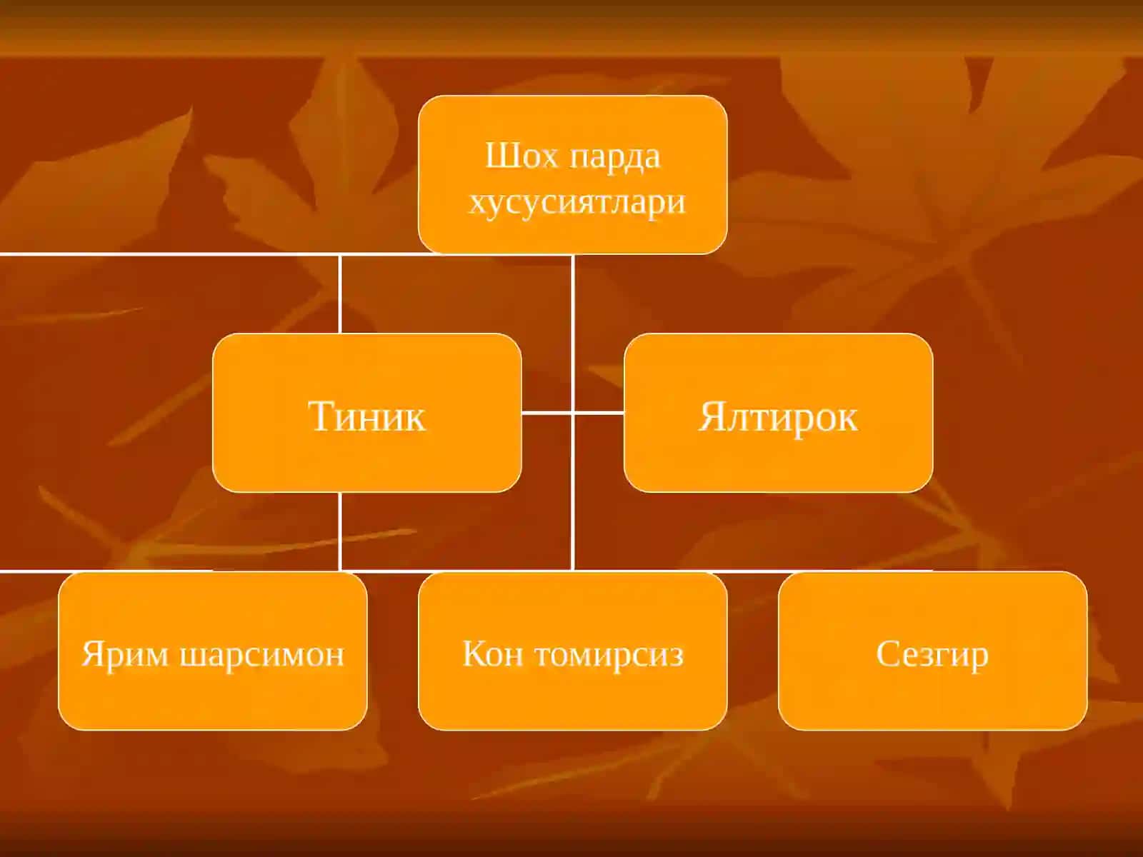 Шох парда патологияси 3