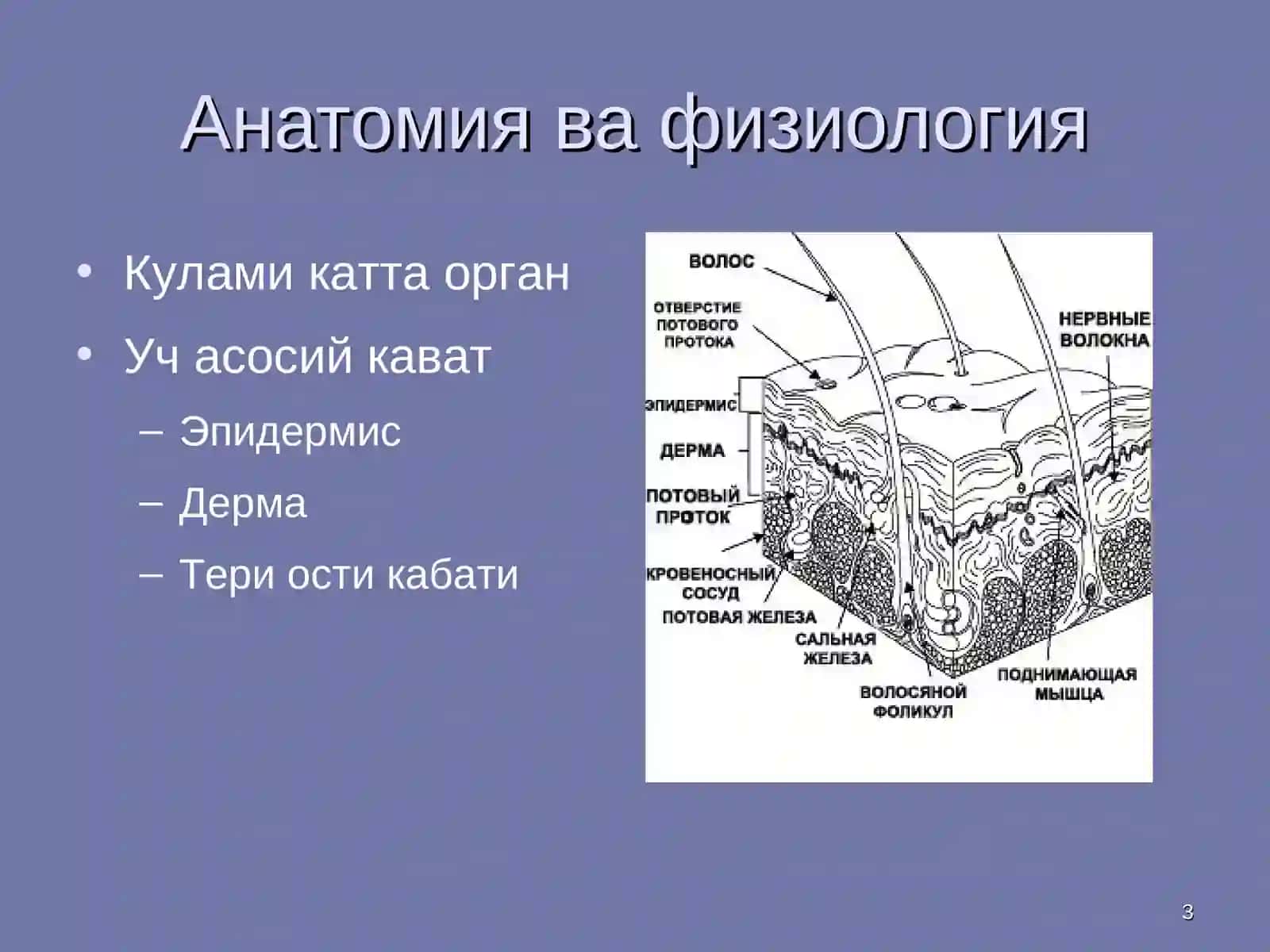 Юмшок тукималар жарохати 3