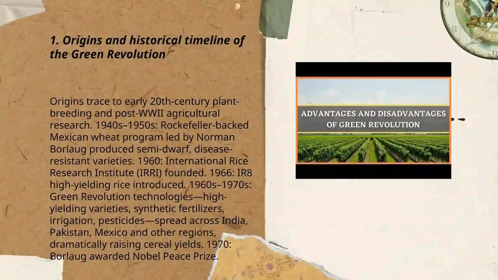 The Green Revolution 3