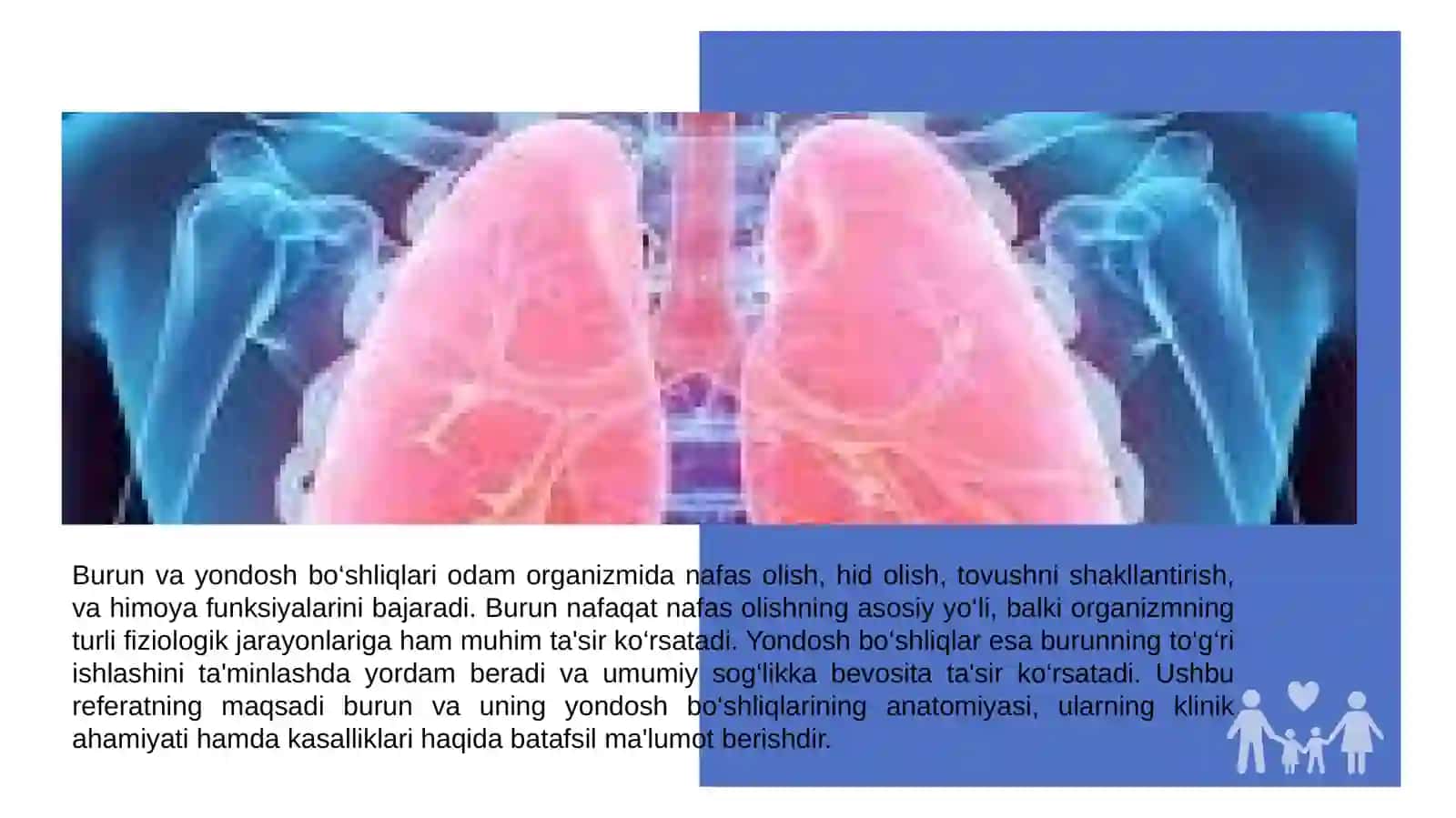 Burun va yondosh bo‘shliqlarining klinik anatomiyasi 3