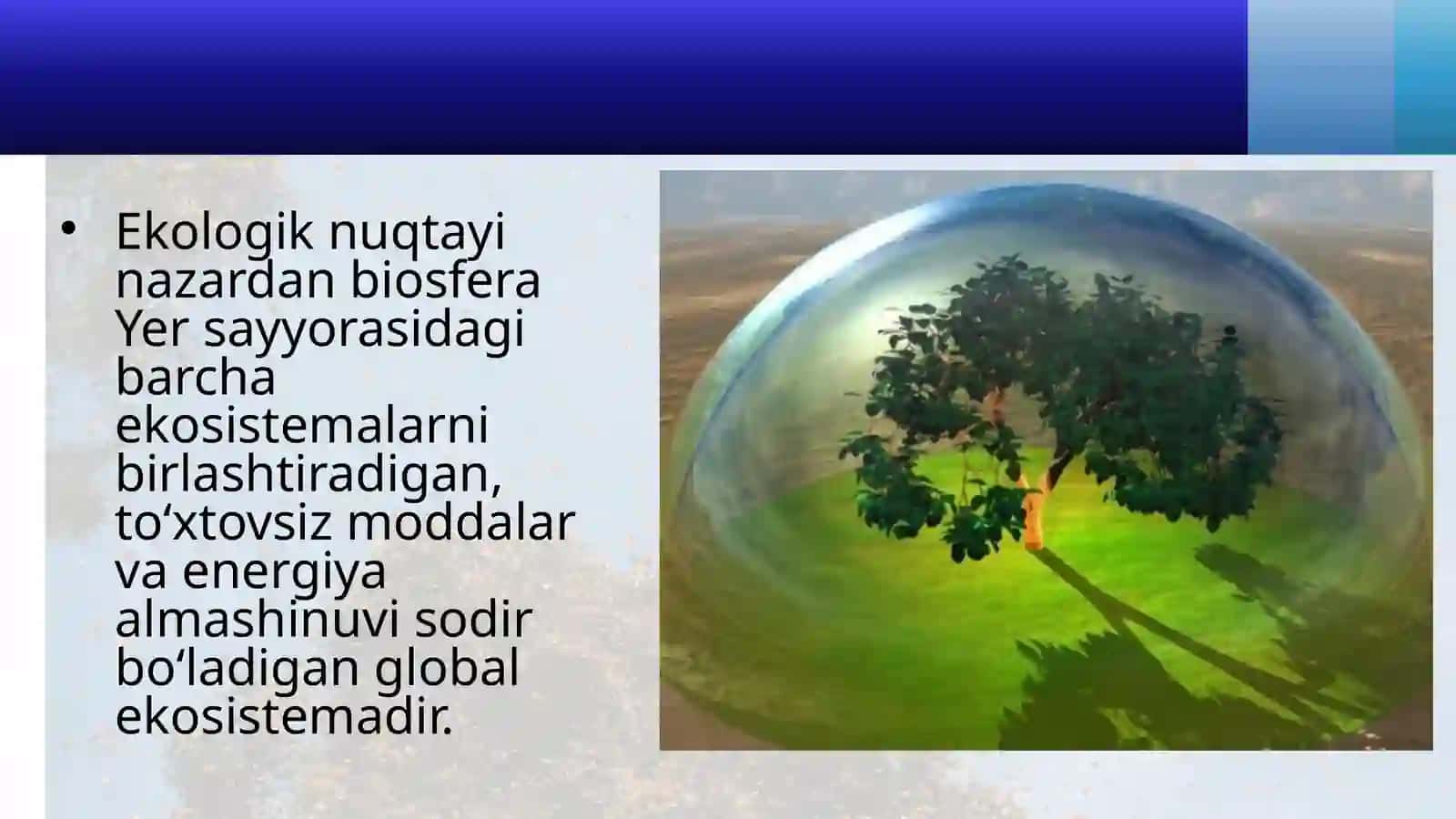 BIOSFERA DARAJASINING XUSUSIYATLARI. BIOSFERA HAQIDA TA’LIMOT 3