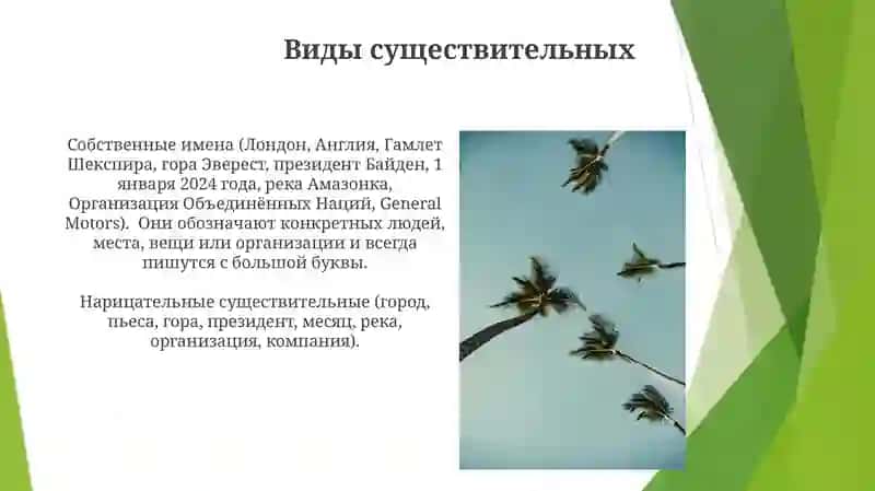 Презентация по теме: Имя существительное 3
