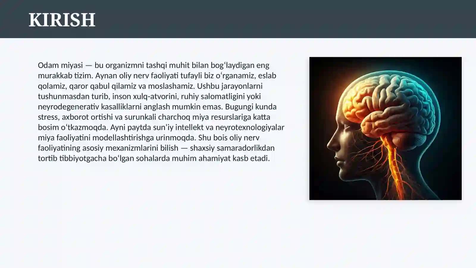 OLIY NERV FAOLIYATI 3