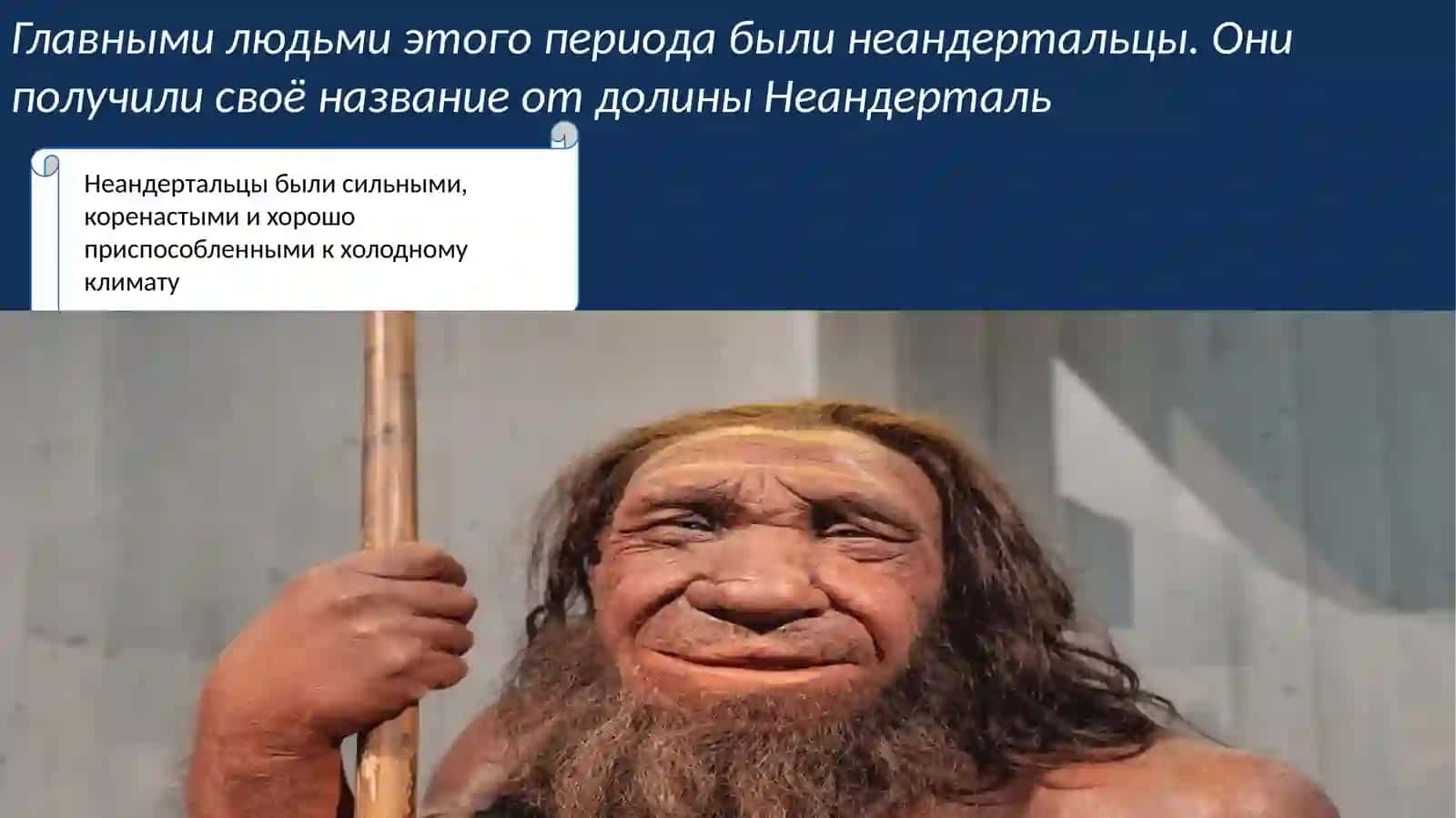 Средний палеолит 3
