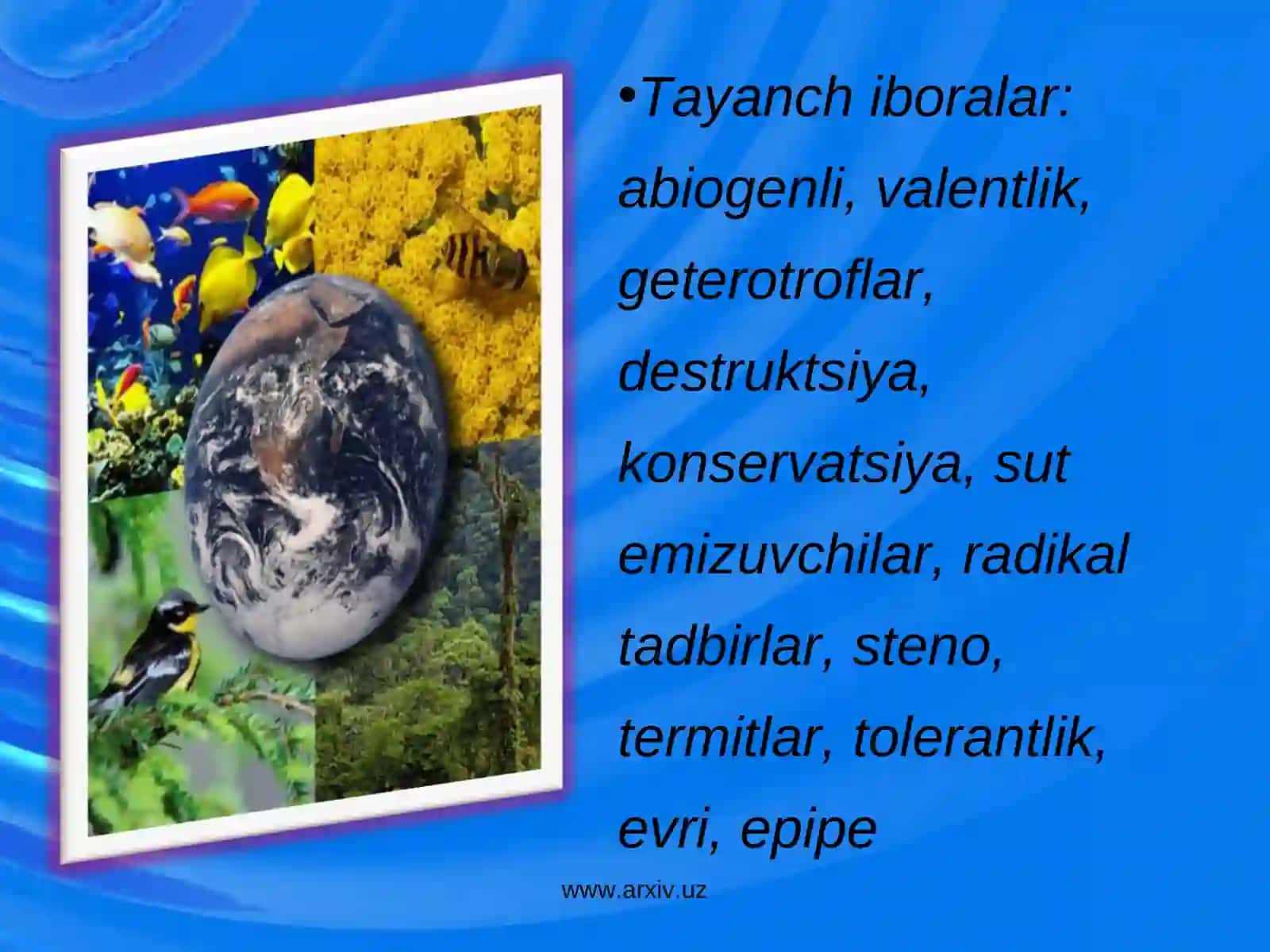 Ekologik omillar 3