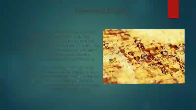 Microorganisms and Microbiology 3
